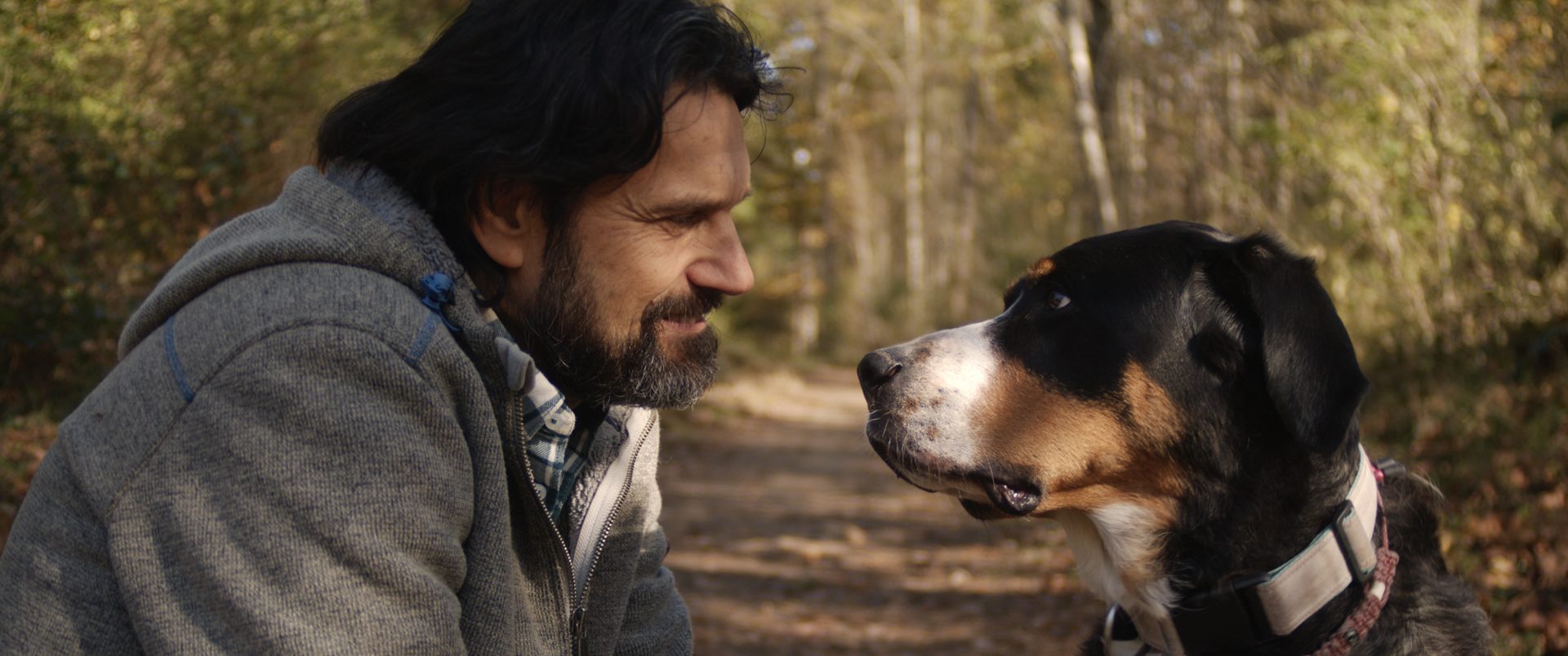 Ein Mann und Lulu, der Berner Sennenhund, sehen sich auf einem Waldweg an